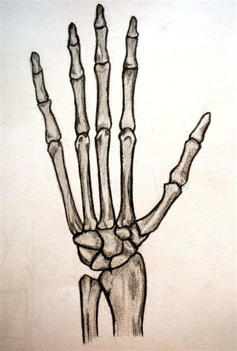 drawn skeleton hand